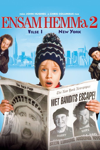 Omslag för Home Alone 2