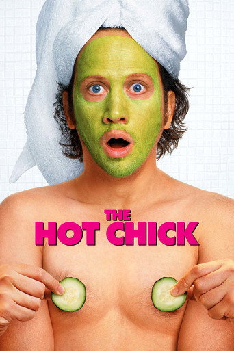 Omslag för The Hot Chick