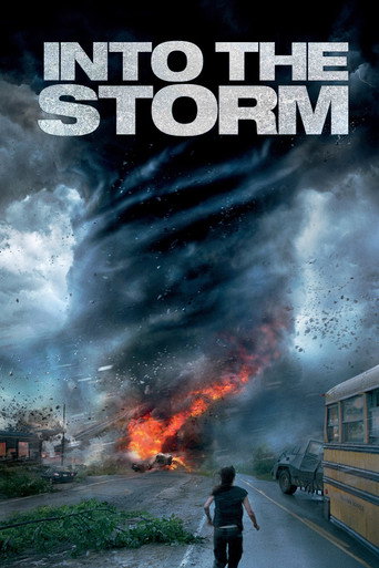 Omslag för Into the Storm