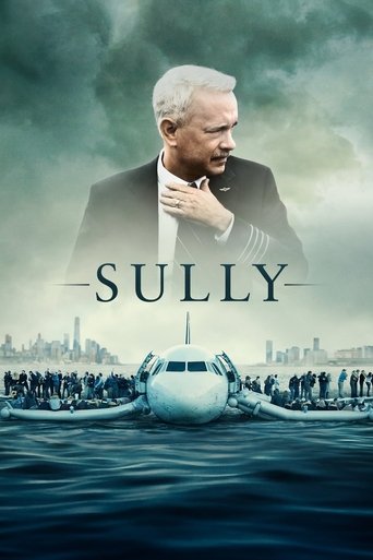 Omslag för Sully