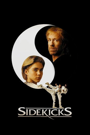 Omslag för Sidekicks