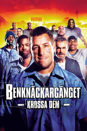 Omslag för The Longest Yard